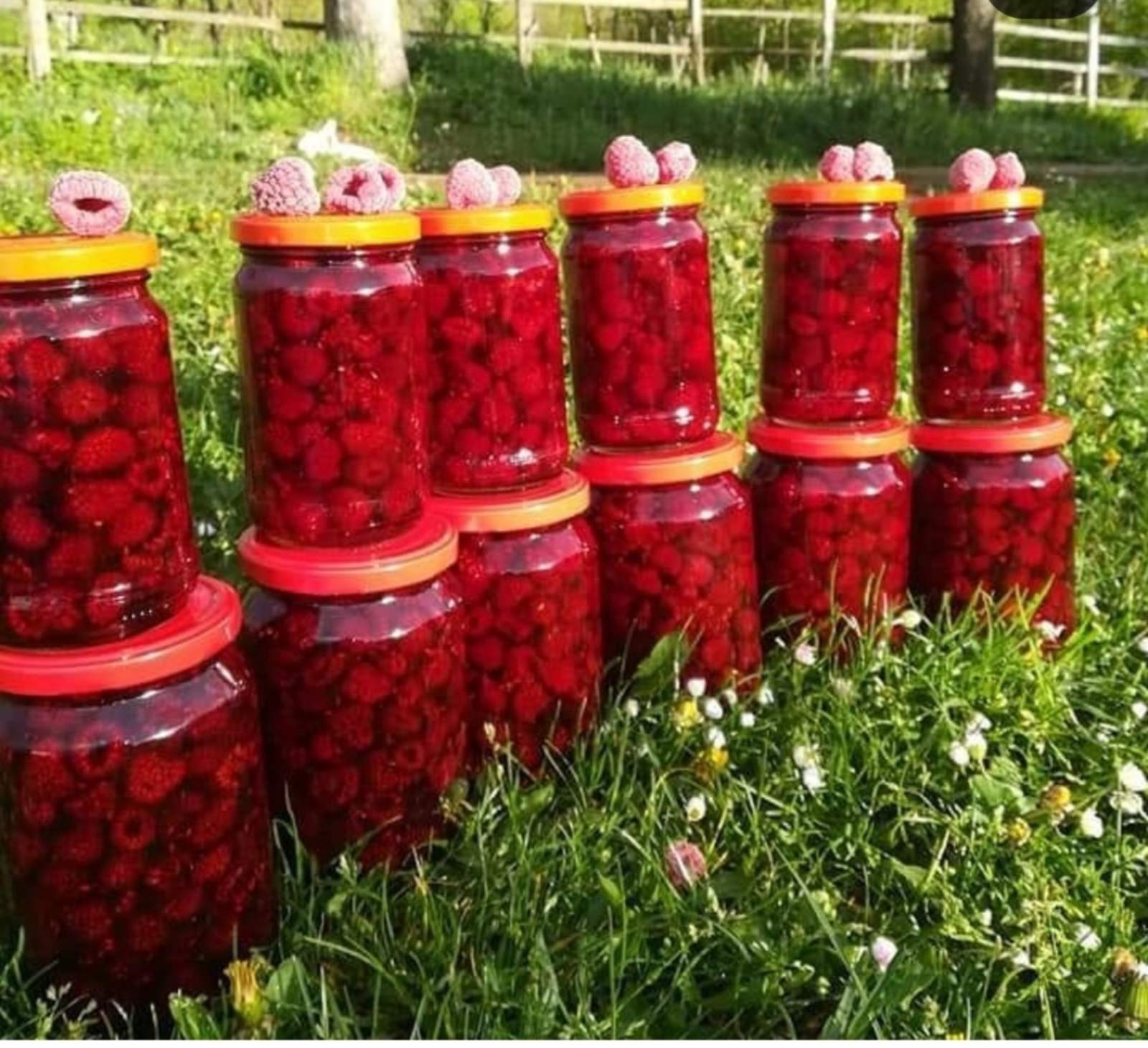 Slika Farme PG Filipović 