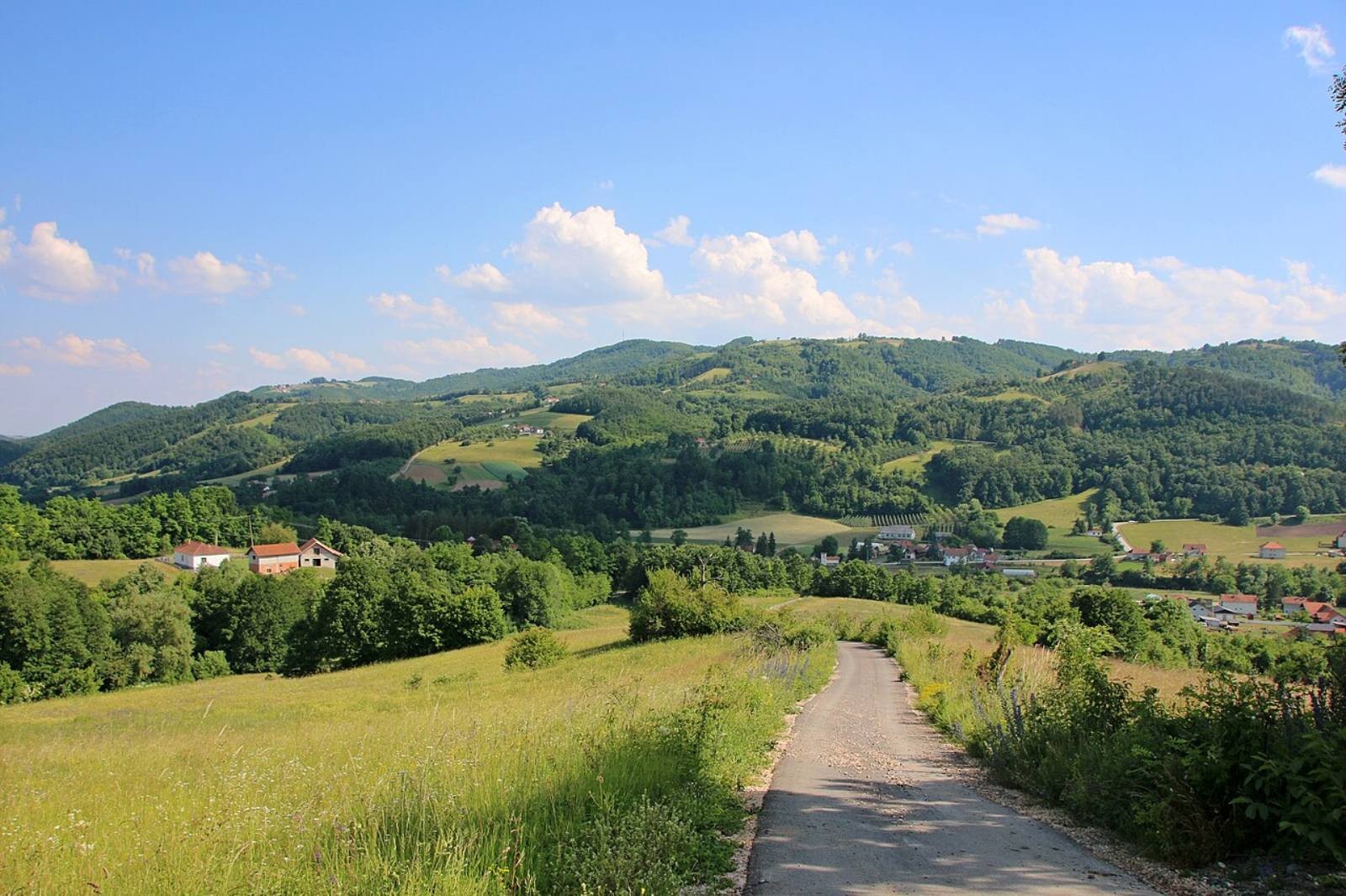 Slika Farme PG Rajčević