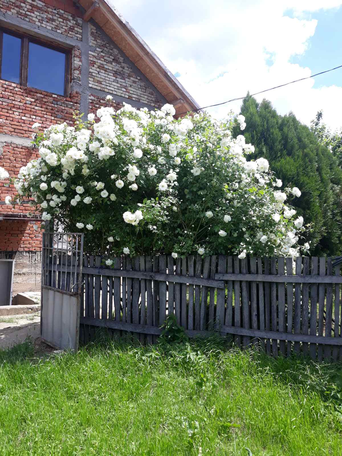 Slika Farme PG Marković