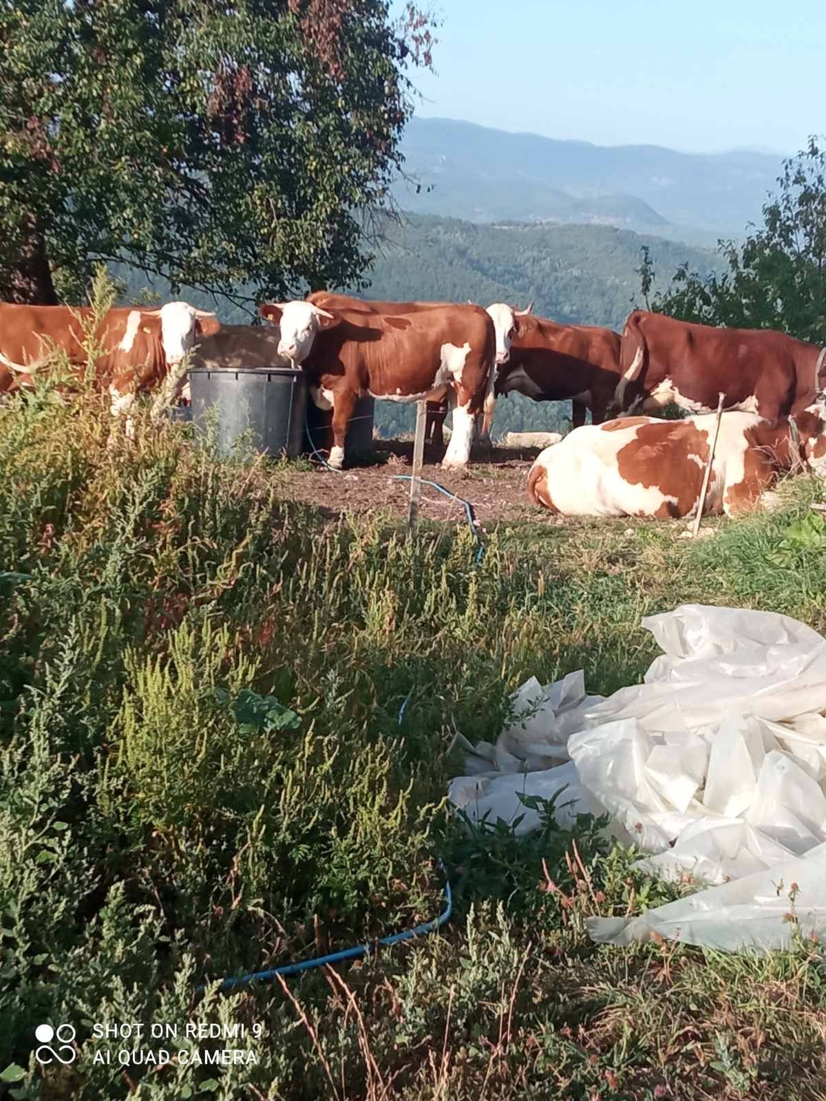 Slika Farme PG Hajdarović