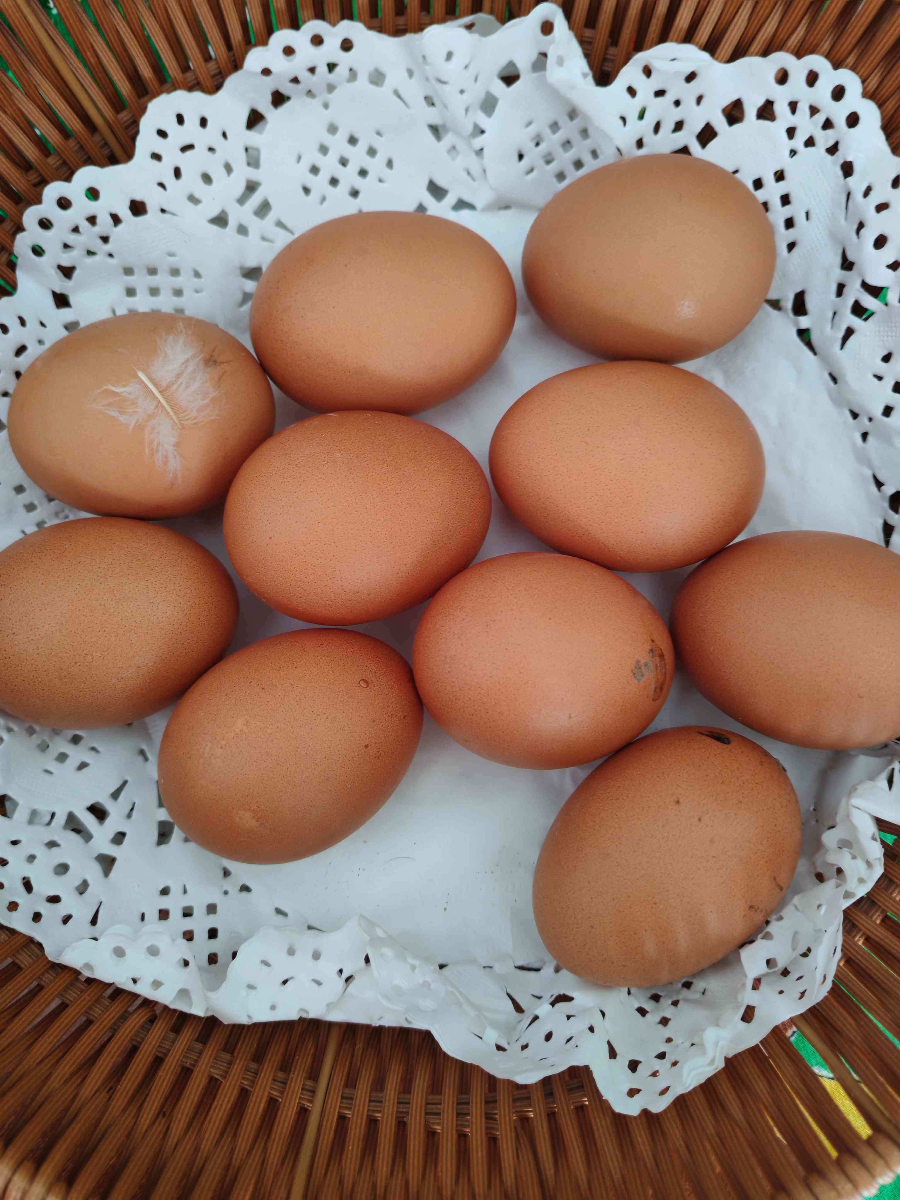 Slika proizvoda